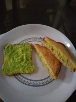 avocado toast
