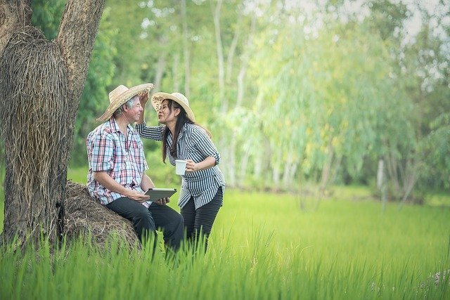 Father's day quotes