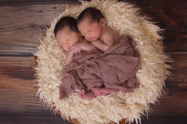 twin pregnancy